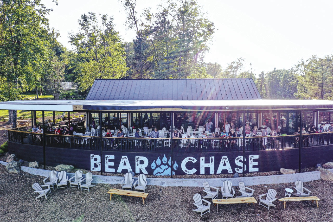 bear chase 4.jpg